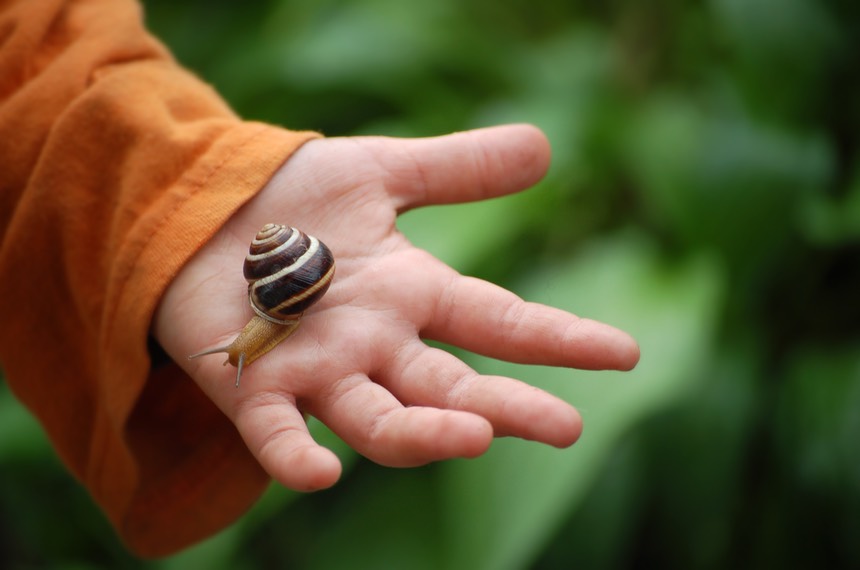 Snail Hand 3008x2000